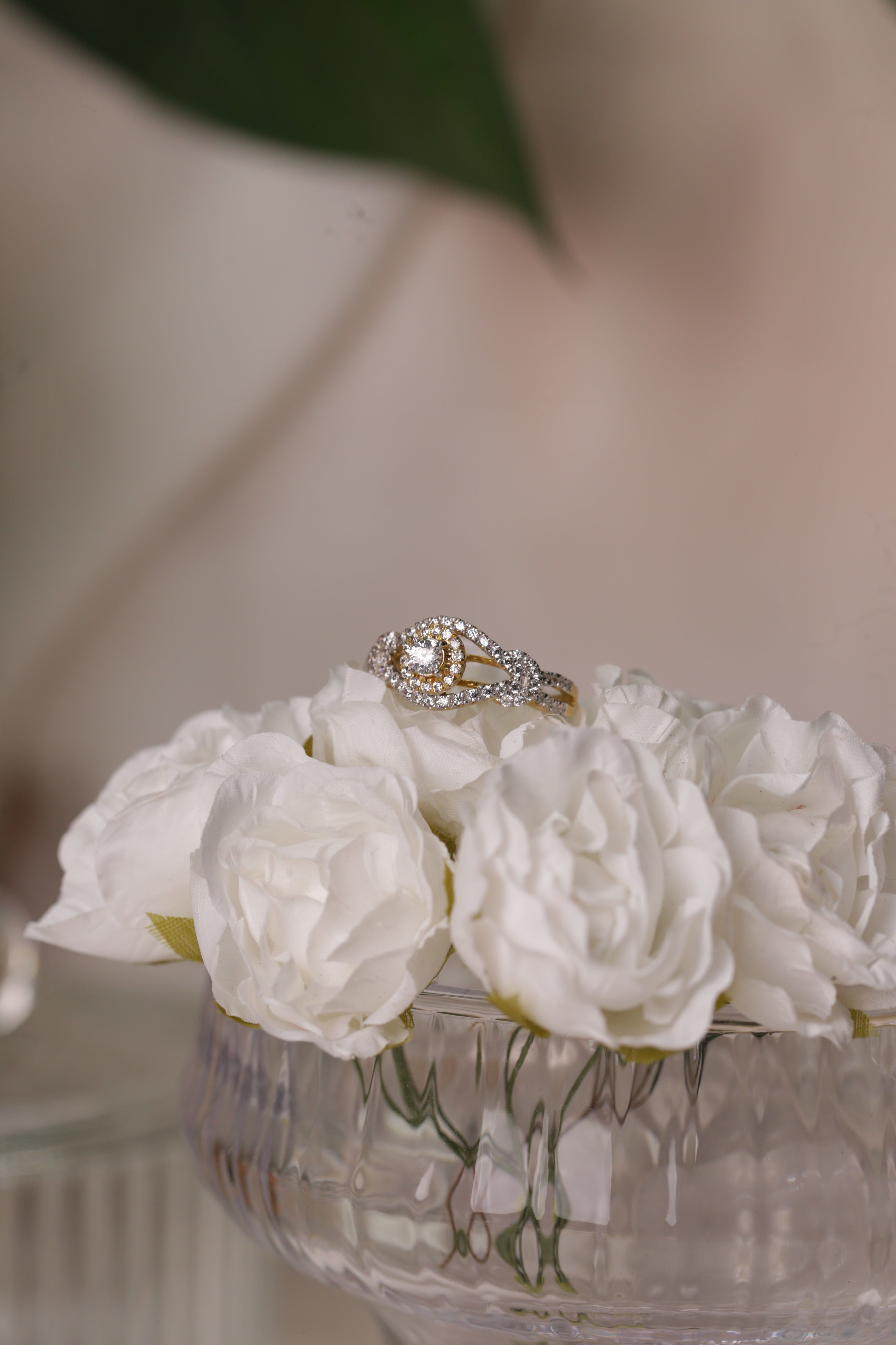 Diamond Open Halo Center Band Ring